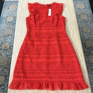 NWT Beautiful J. Crew Dress.